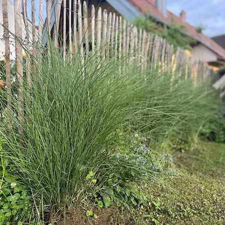 Kunterbunt 1 Europapark Rulantica Straßbourg Lägenhet *