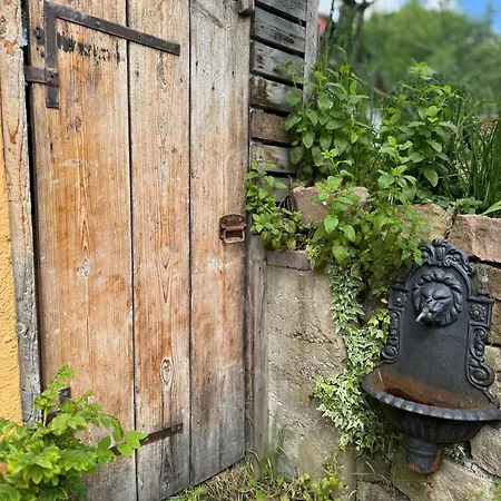 Kunterbunt 1 Europapark Rulantica Straßbourg Hohberg